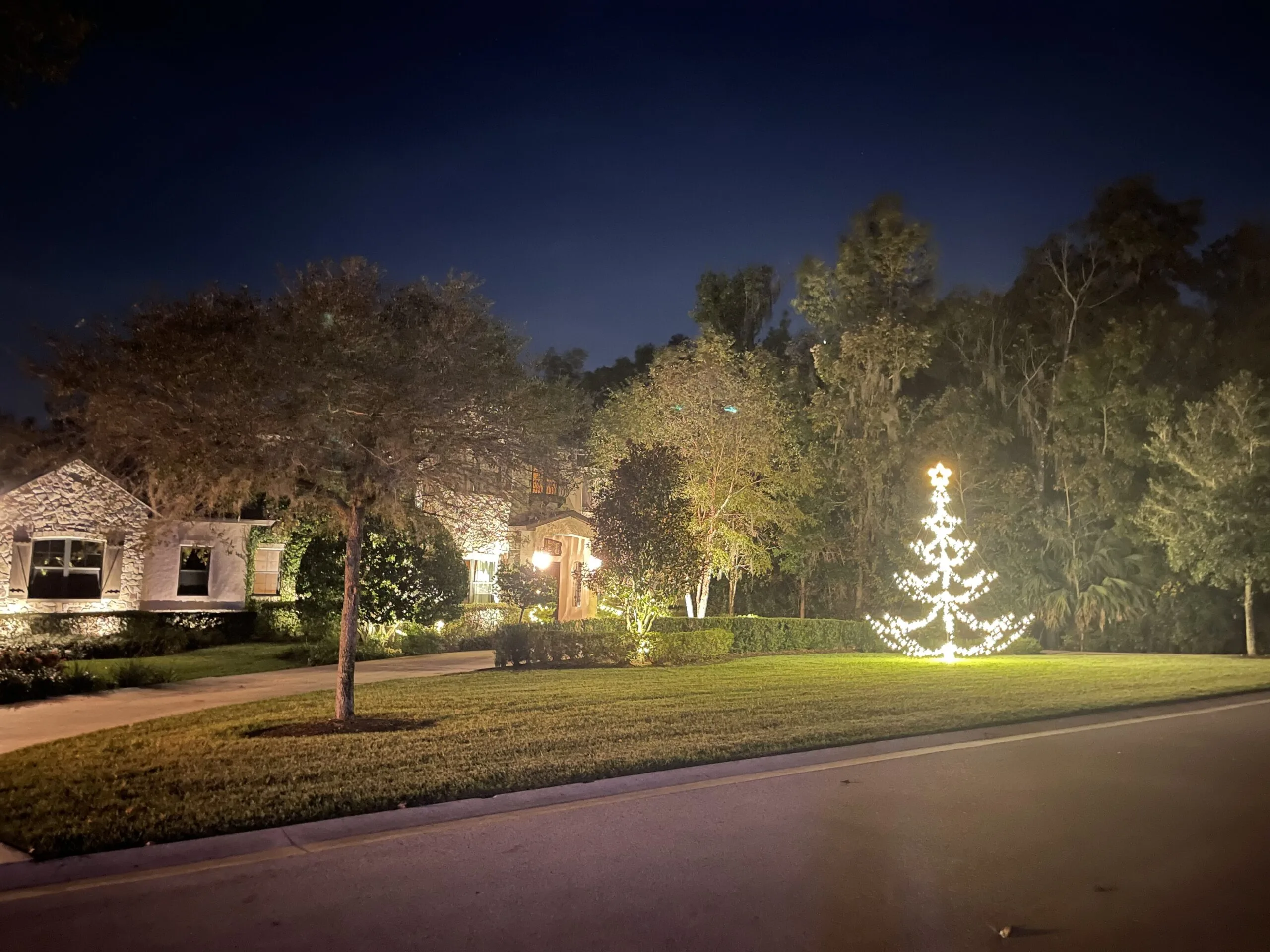 Christmas tree installation 4