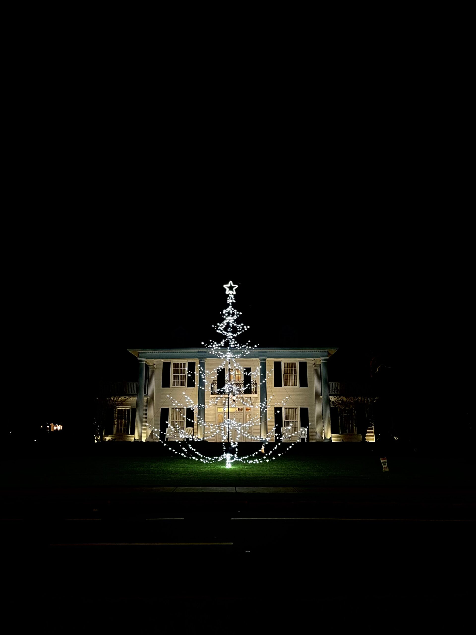 Christmas tree installation 1